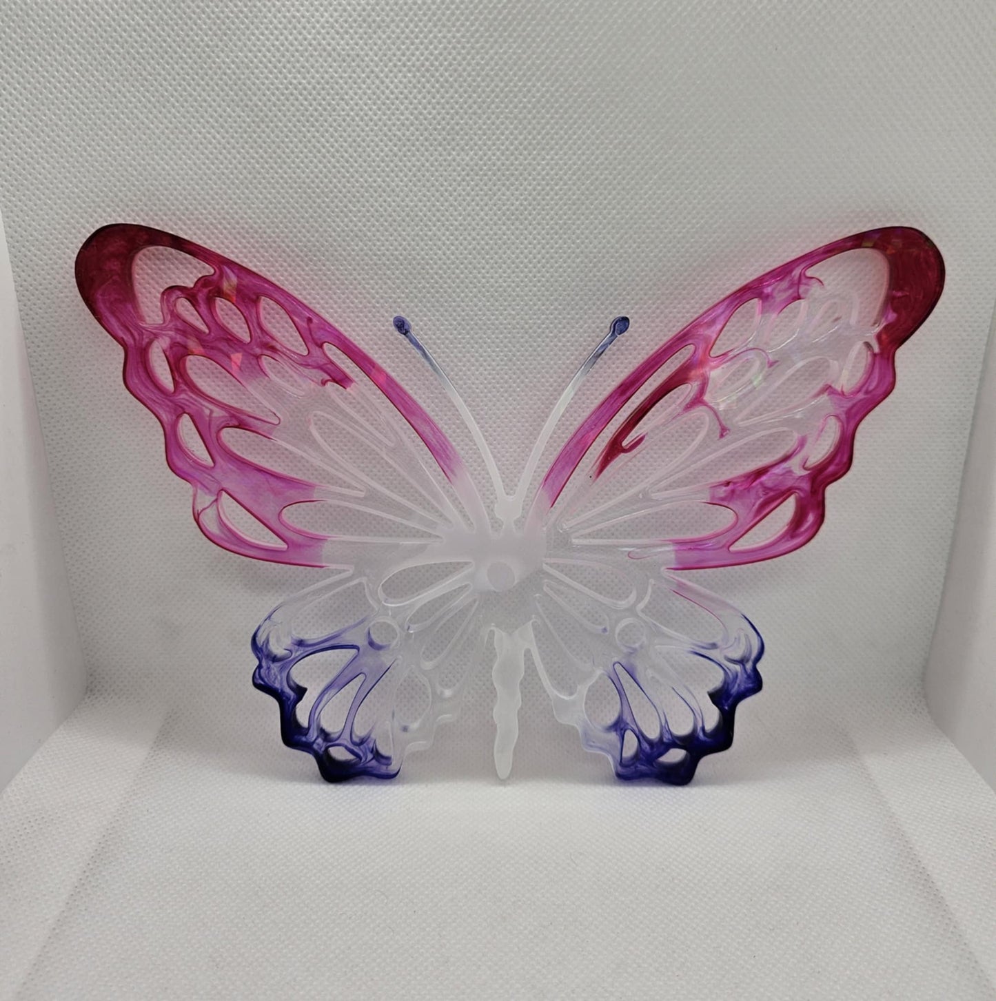 Papillon de Lumière