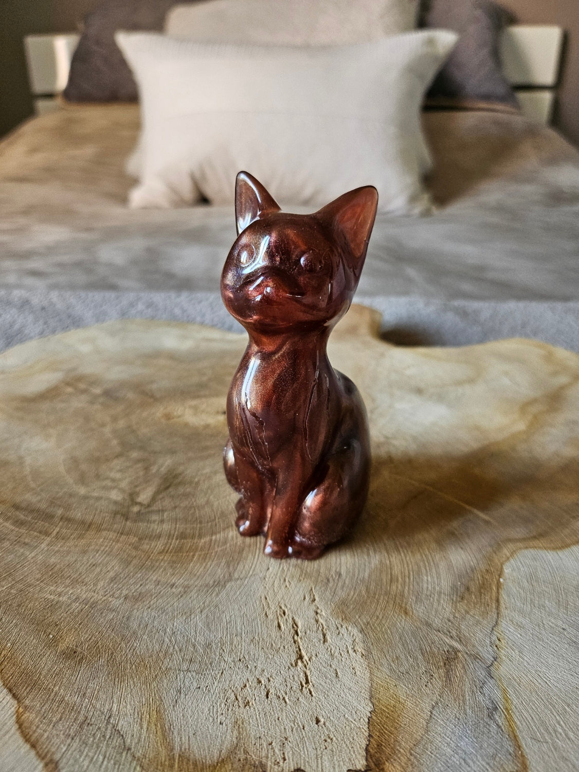 Chat’oyant