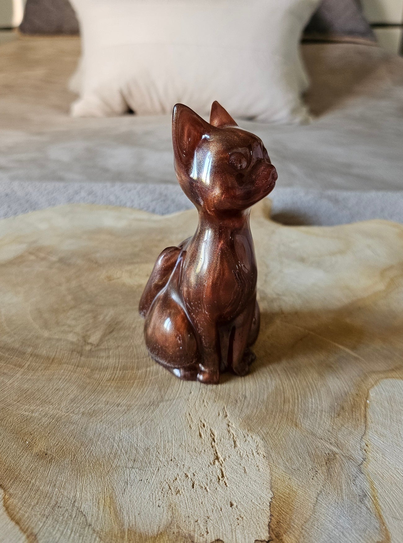 Chat’oyant