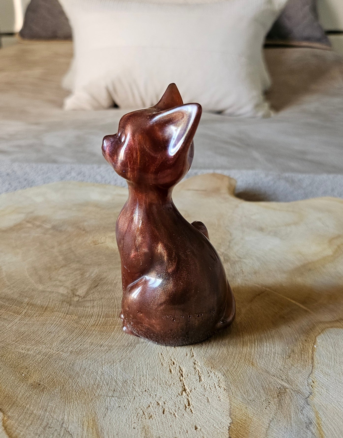 Chat’oyant