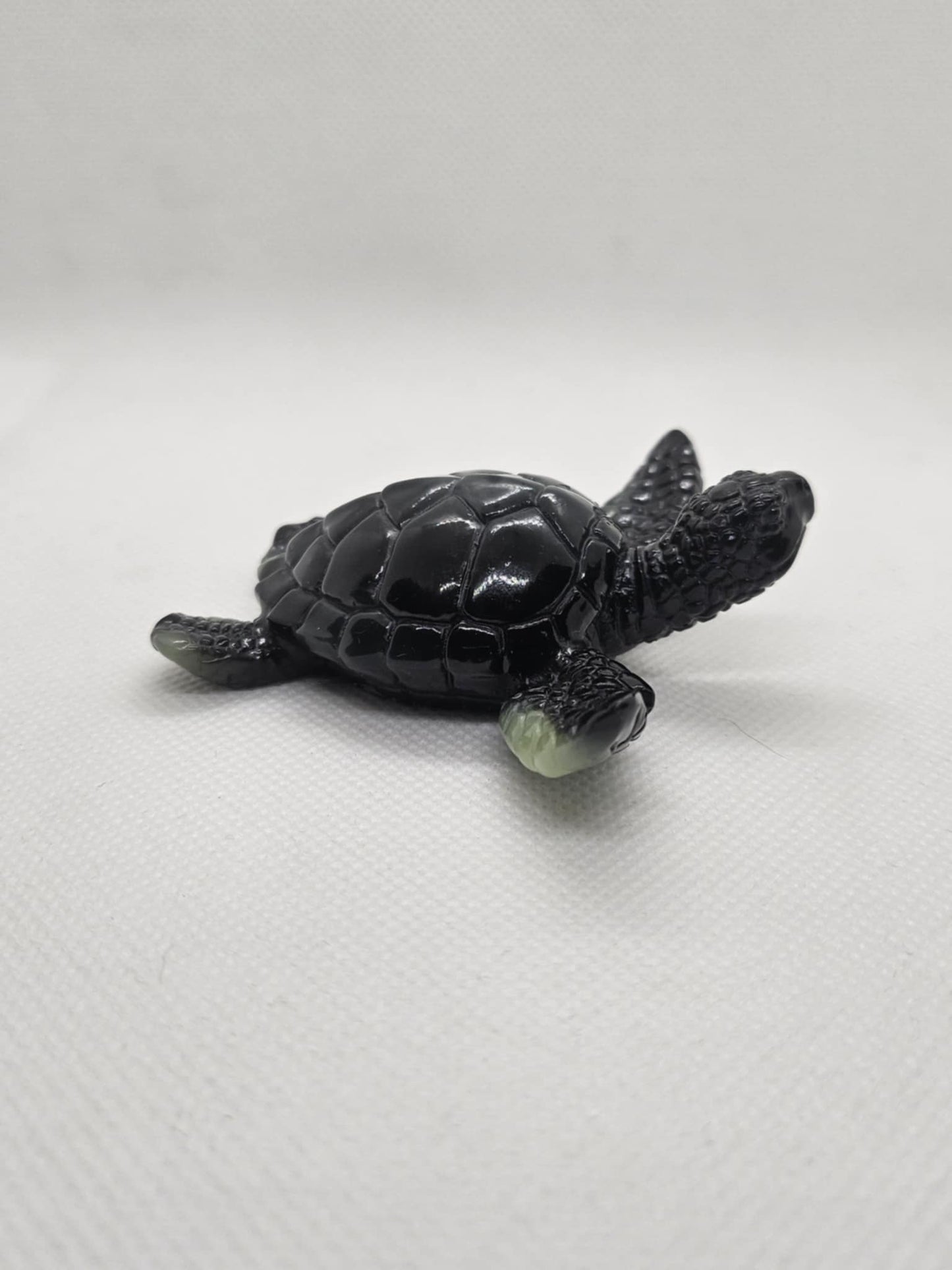 Tortue en Mouvement
