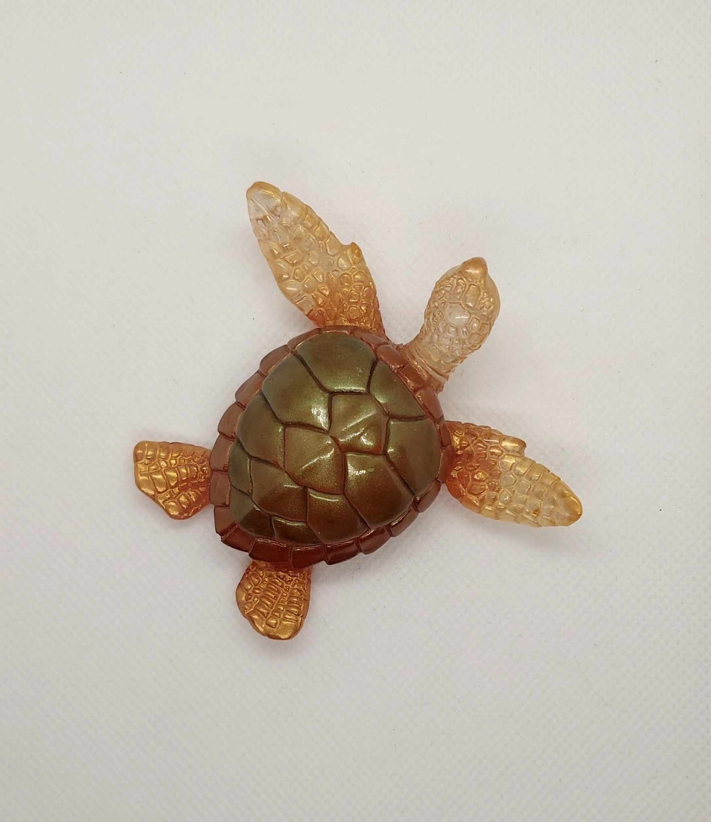Tortue en Mouvement