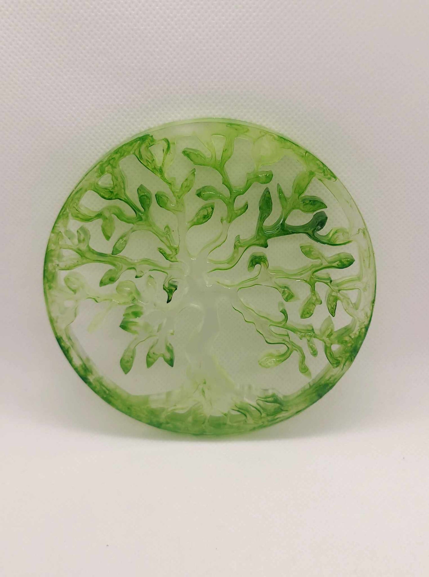 Cercle de Vie
