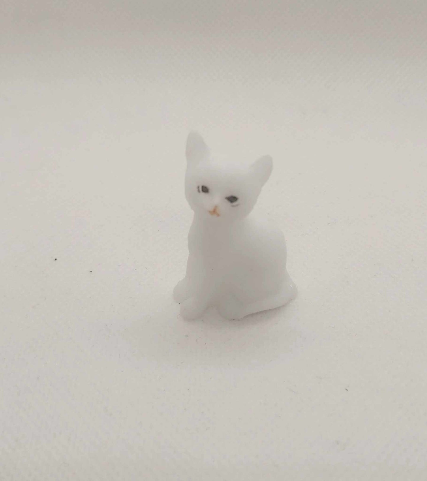 Petit Chat Rêveur