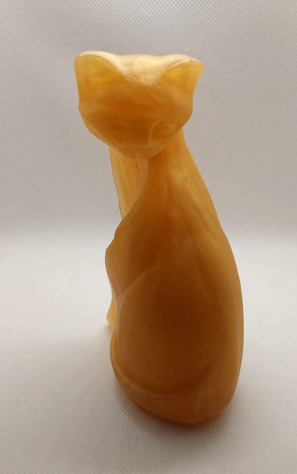 Chat d’Or Imparfait