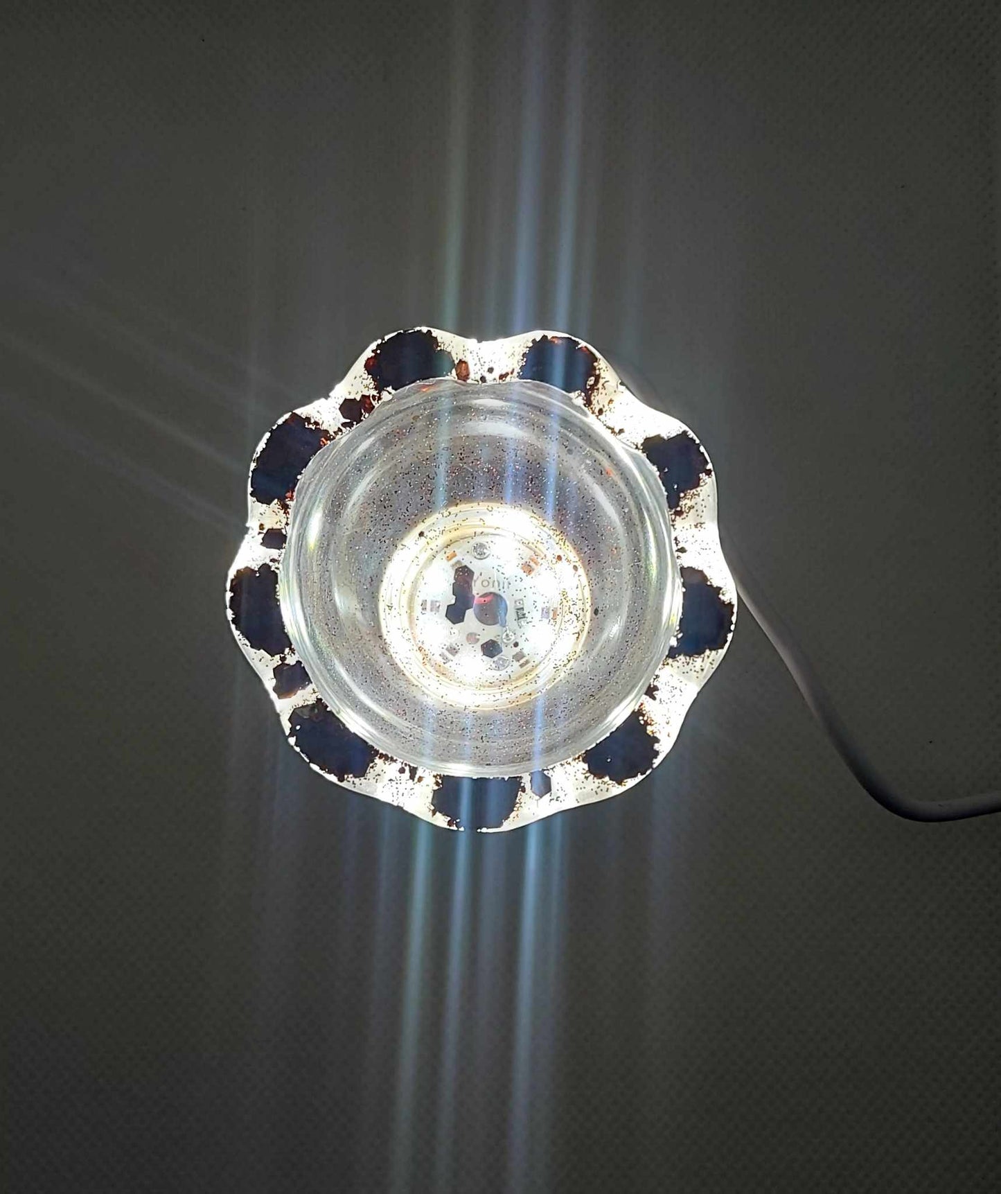 Fleur de Lumière