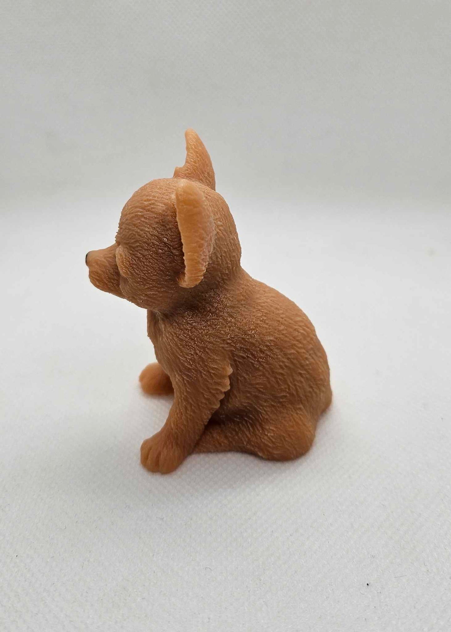 Douceur Chihuahua