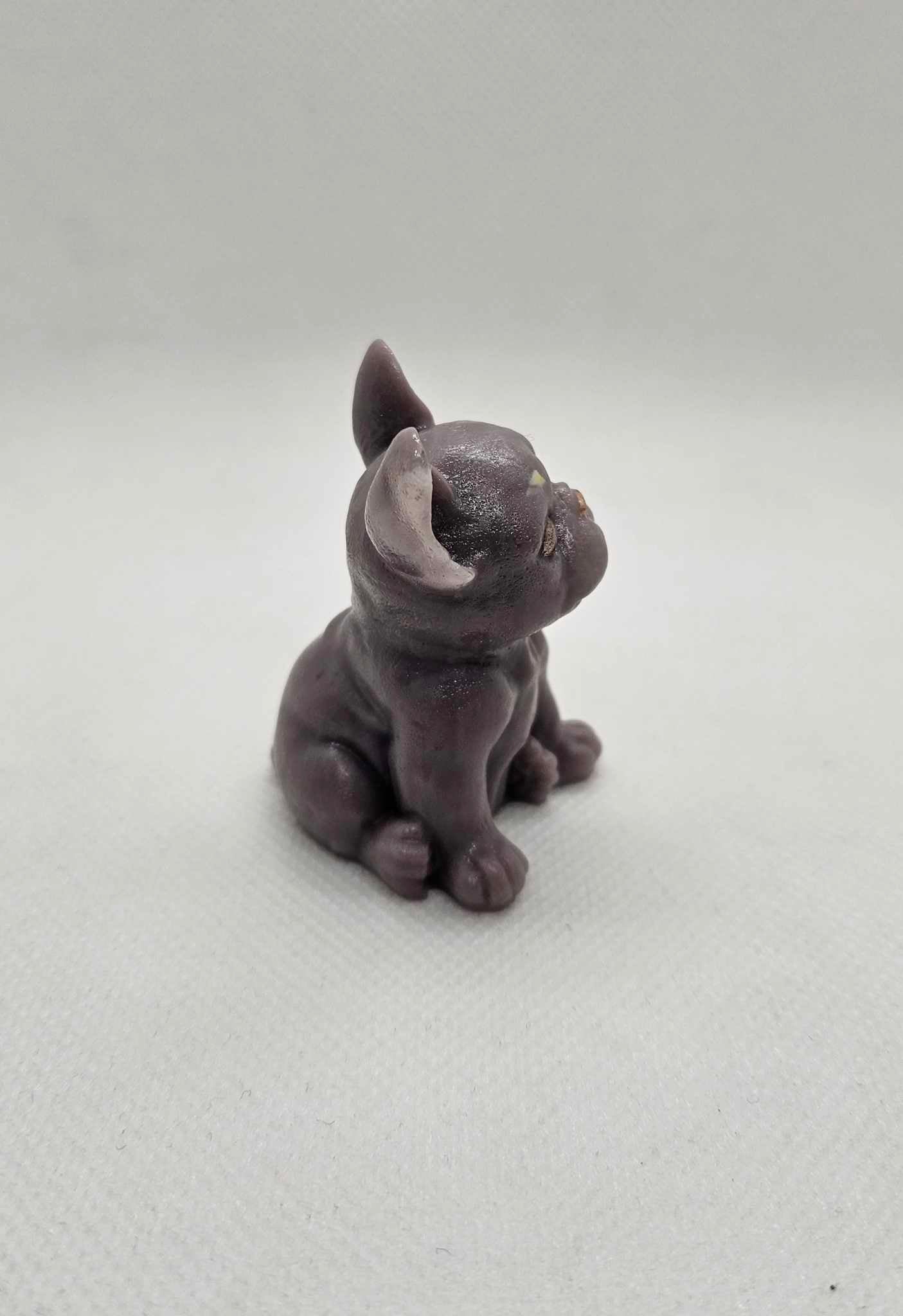 Le Petit Bouledogue