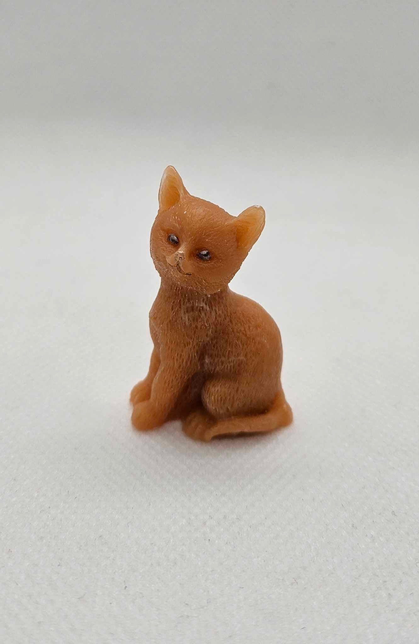 Petit Chat Rêveur