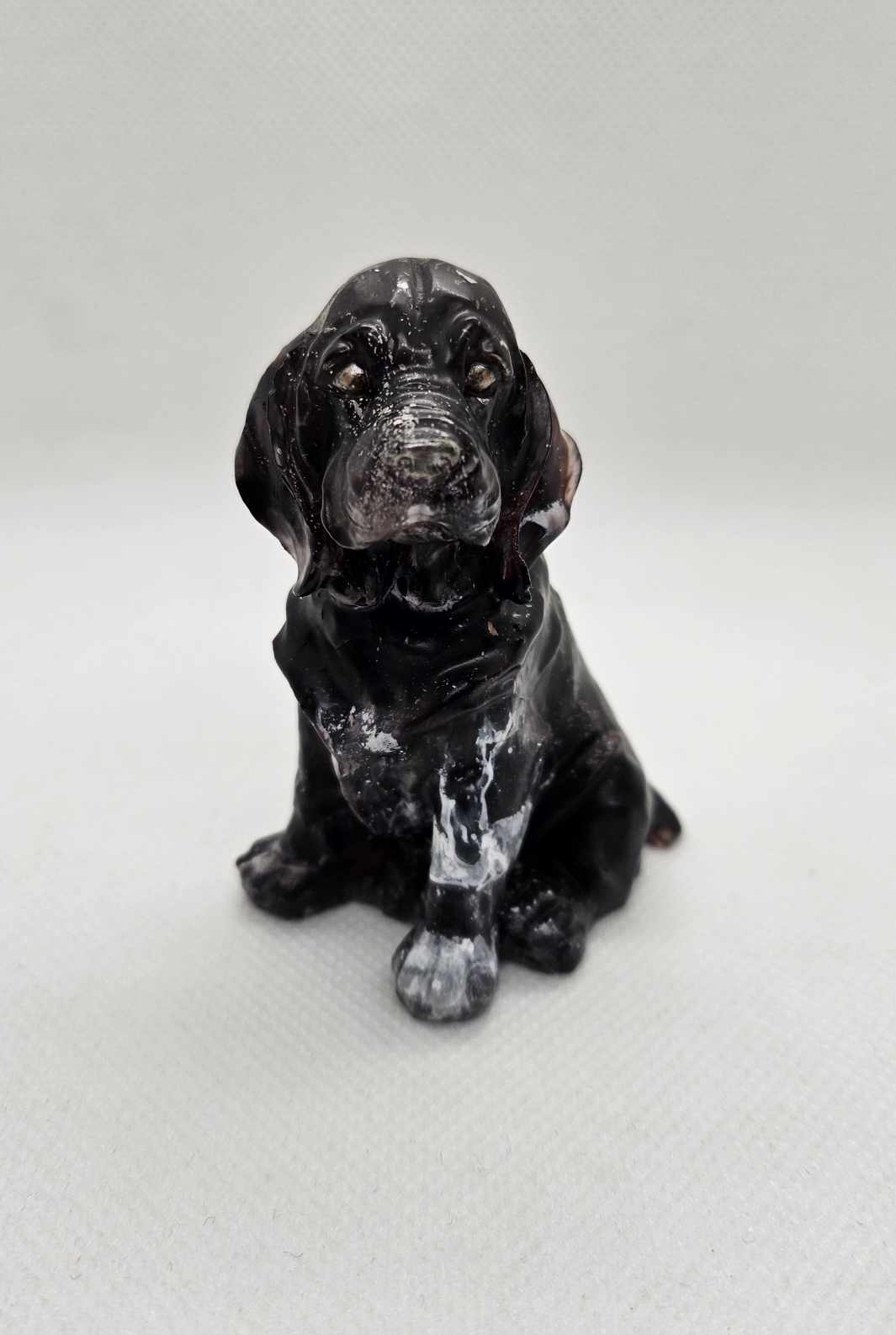 L’Esprit Labrador