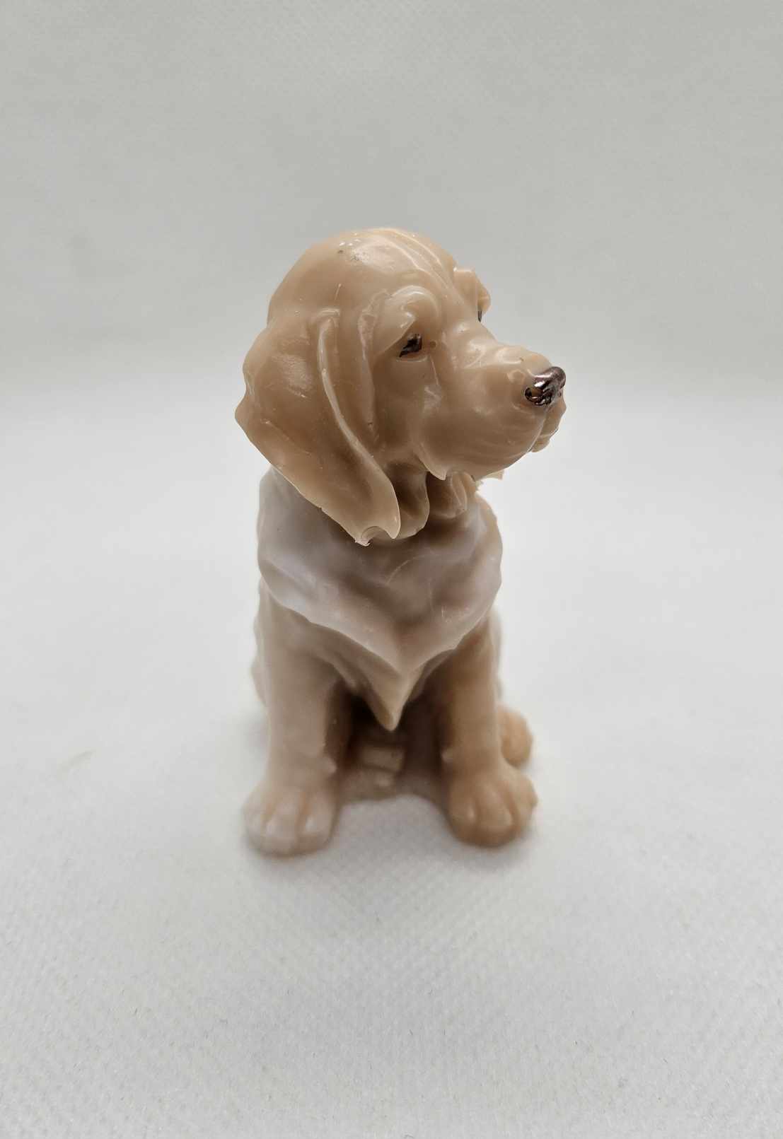 L'Esprit Labrador