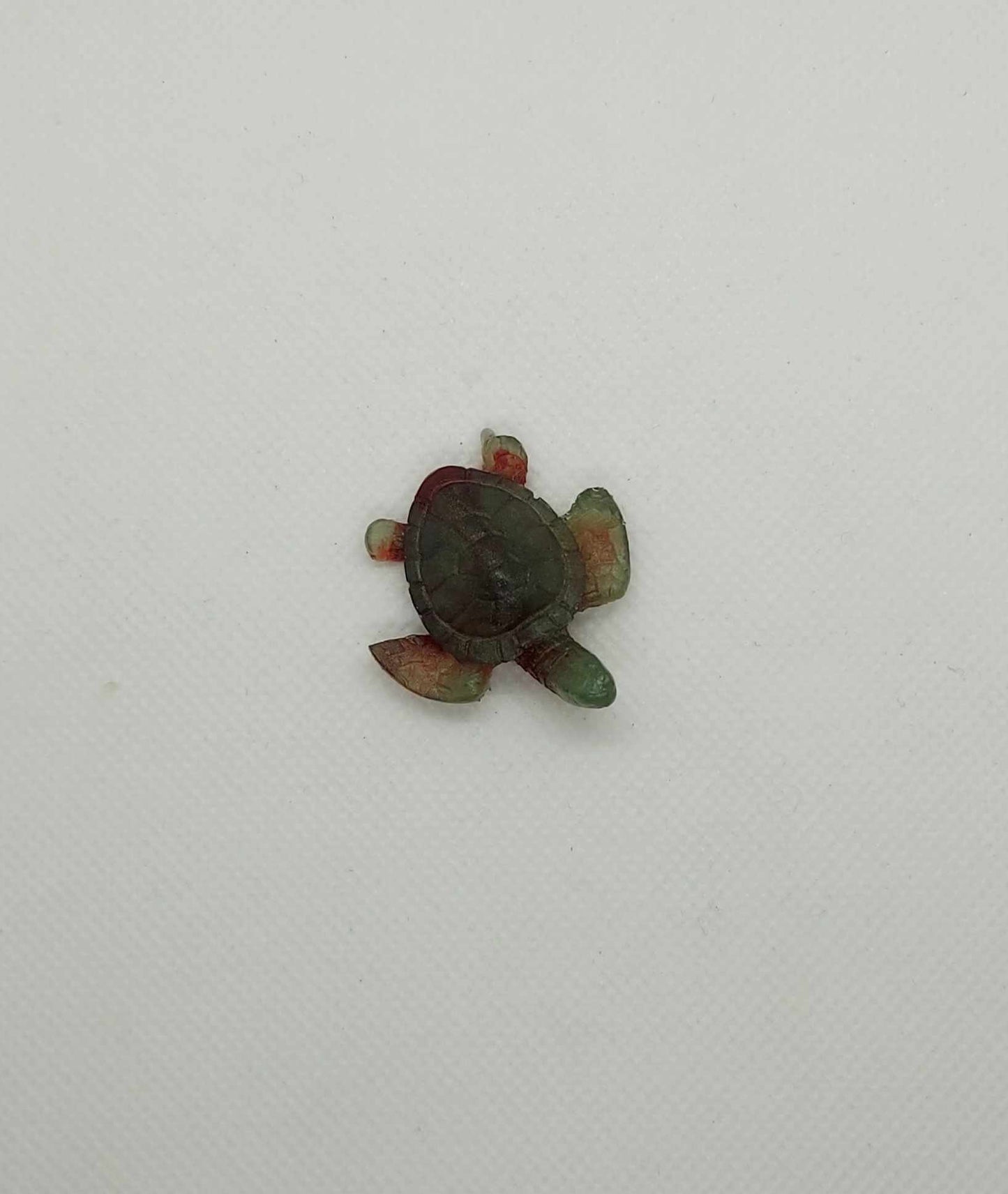 Petite Tortue Eclatante