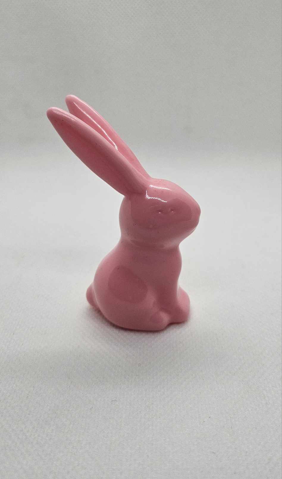 Douceur Naturelle : Petit Lapin en Résine Époxy