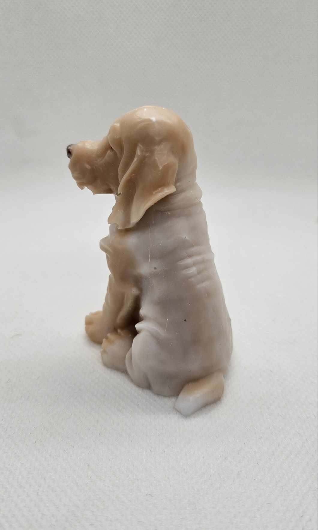L'Esprit Labrador