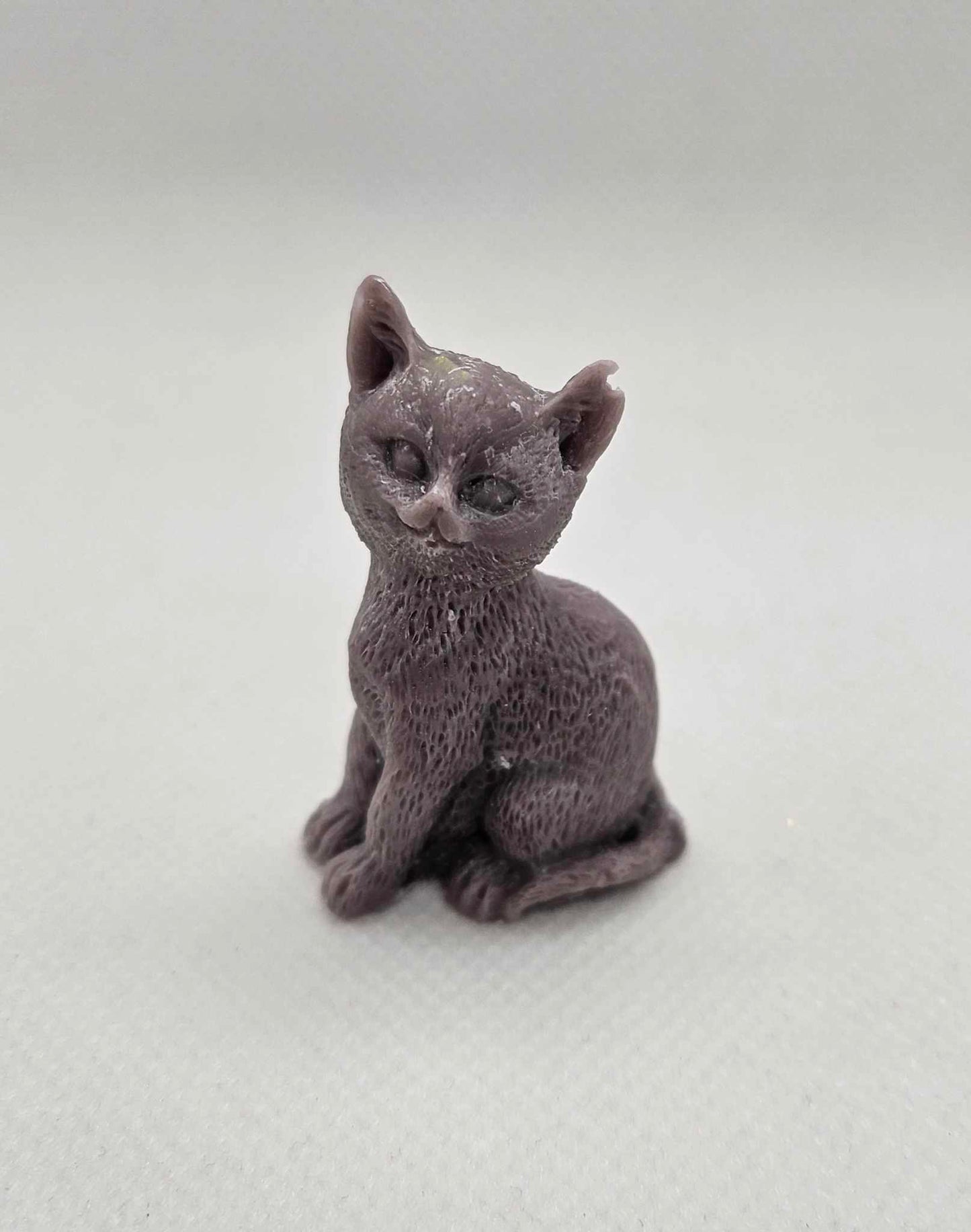 Petit Chat Rêveur