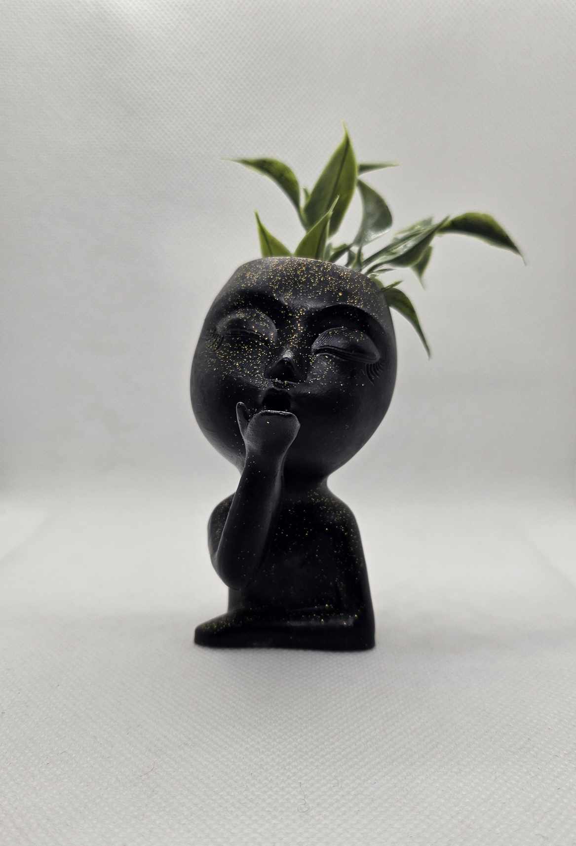 Bise Botanique