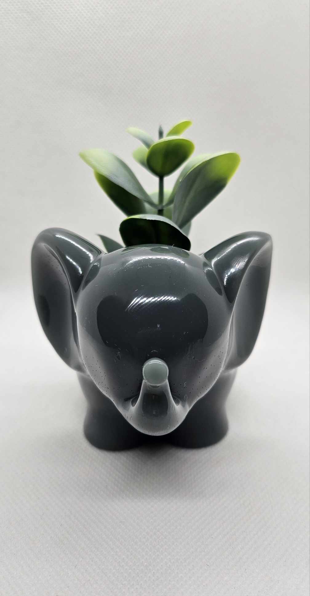 Pot Pachyderme