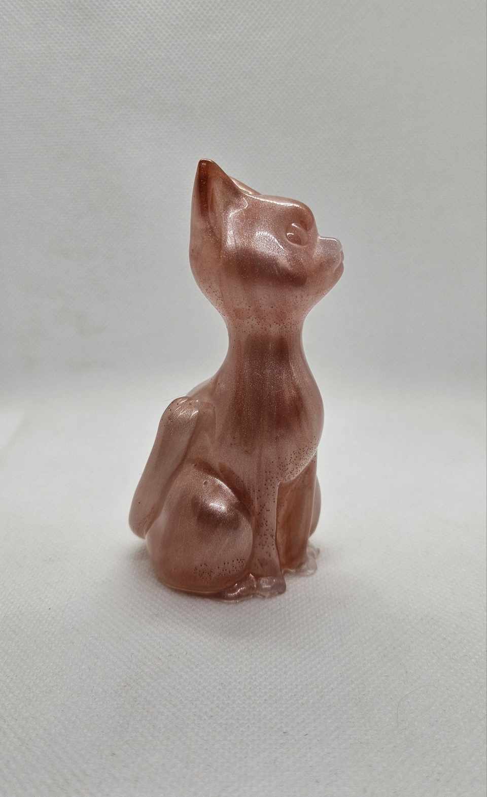 Chat’oyant
