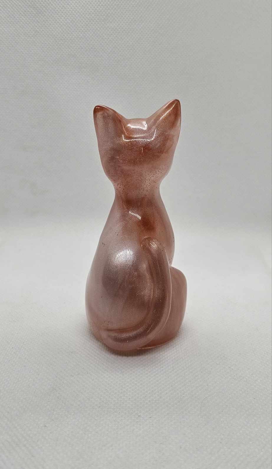 Chat’oyant