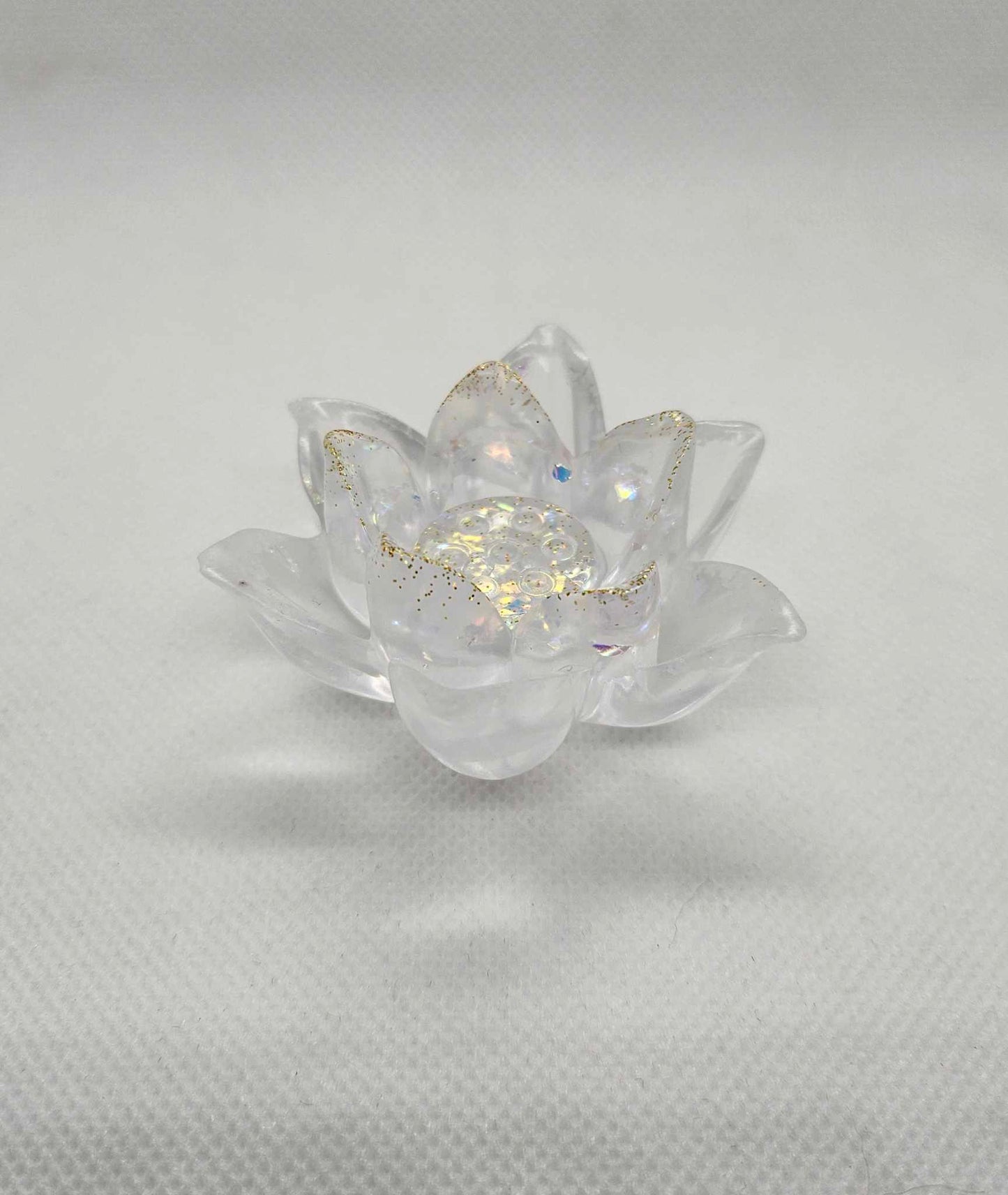 Fleur de Lumière – Élégance et Transparence