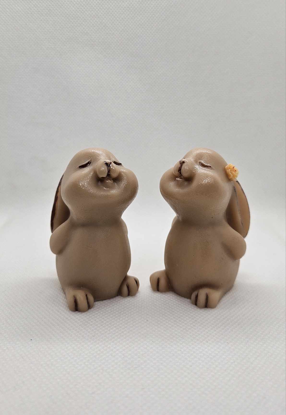 Duo Lapinou