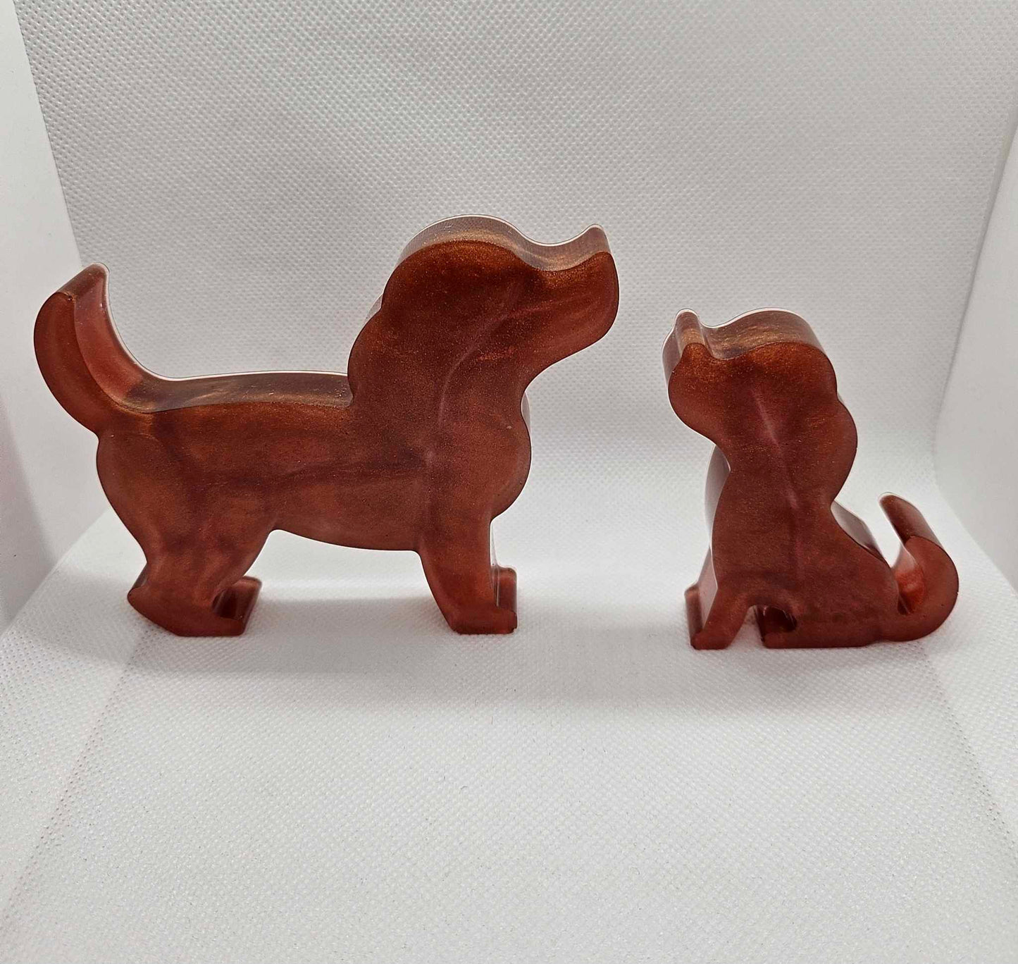 Amis à Quatre Pattes