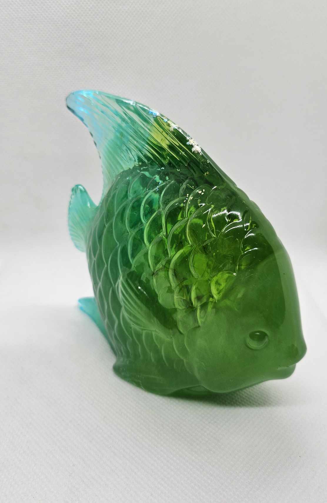 Poisson Paradis