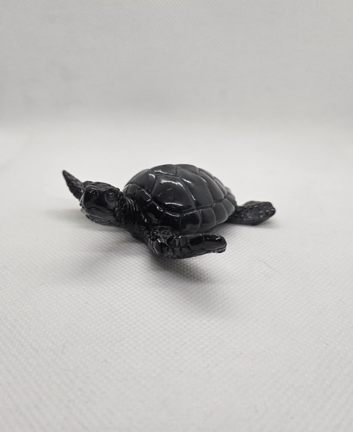 Tortue en Mouvement