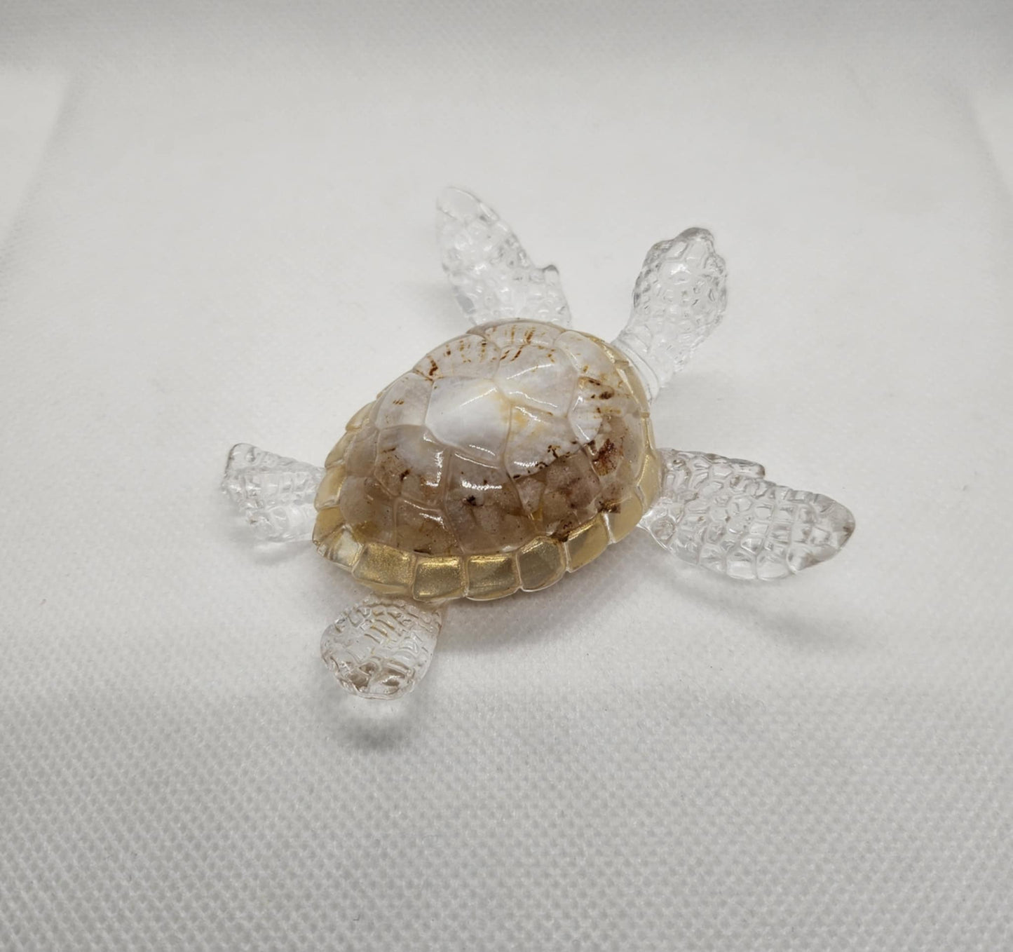Tortue en Mouvement