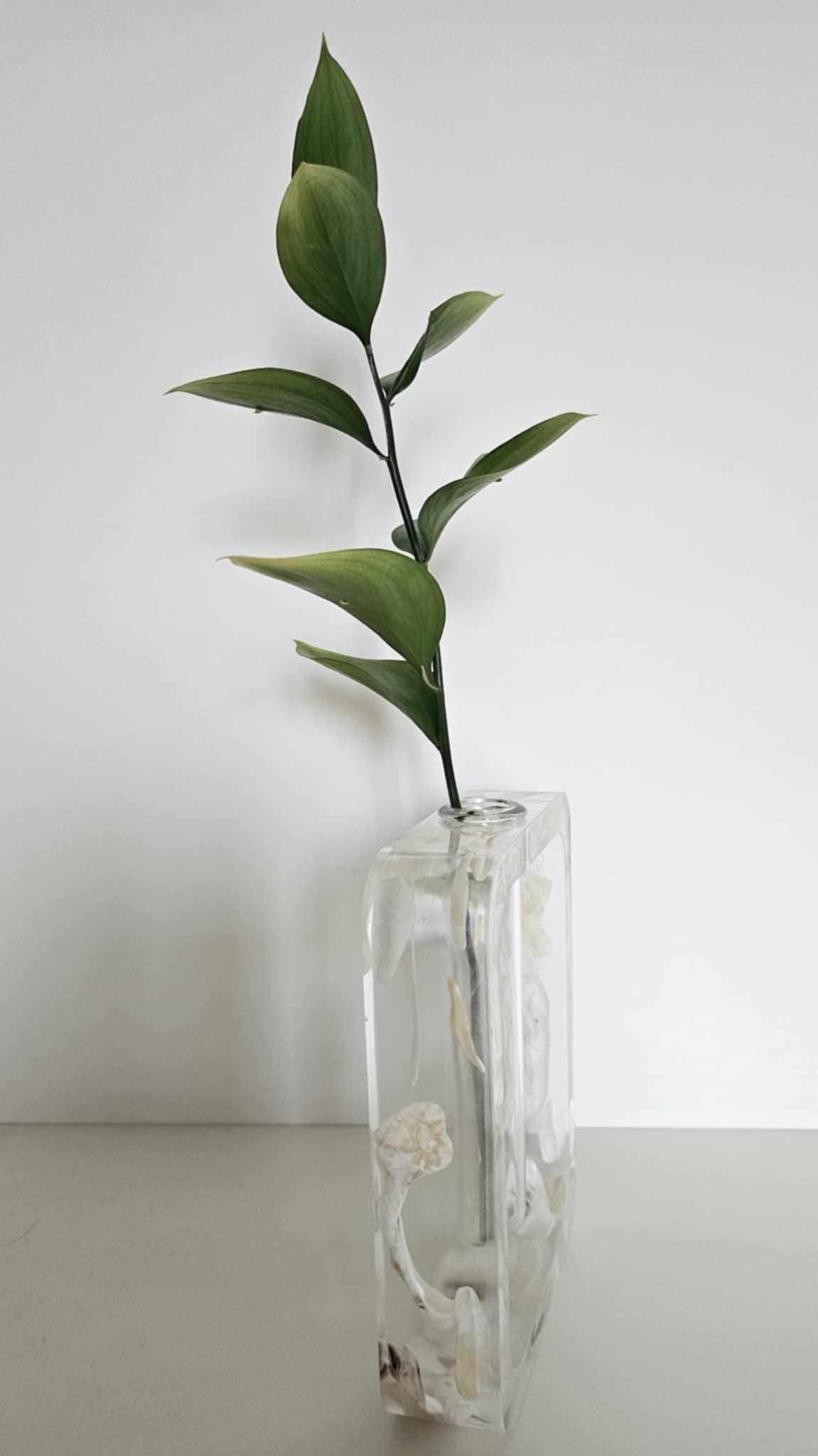 Floraison Unique