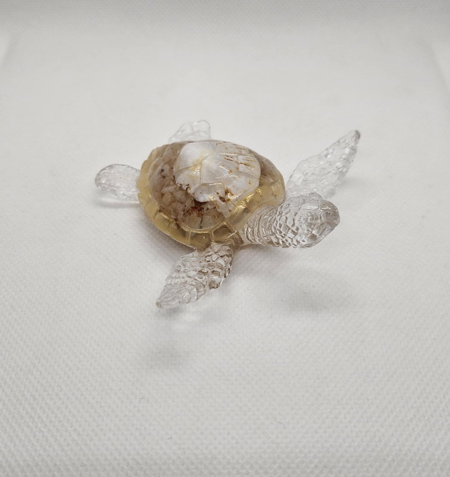 Tortue en Mouvement
