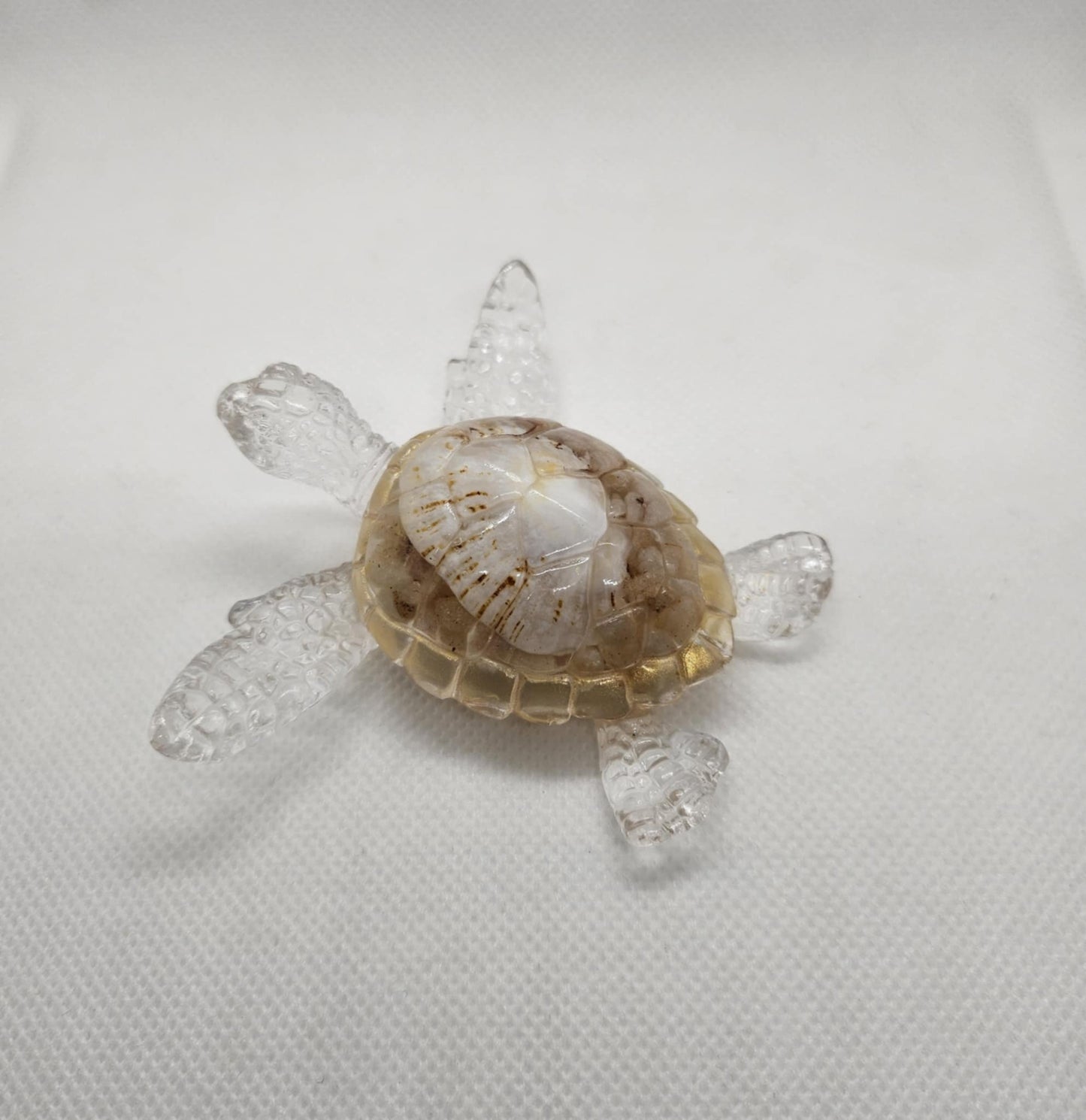 Tortue en Mouvement