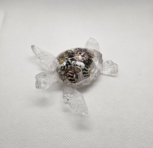 Tortue en Mouvement