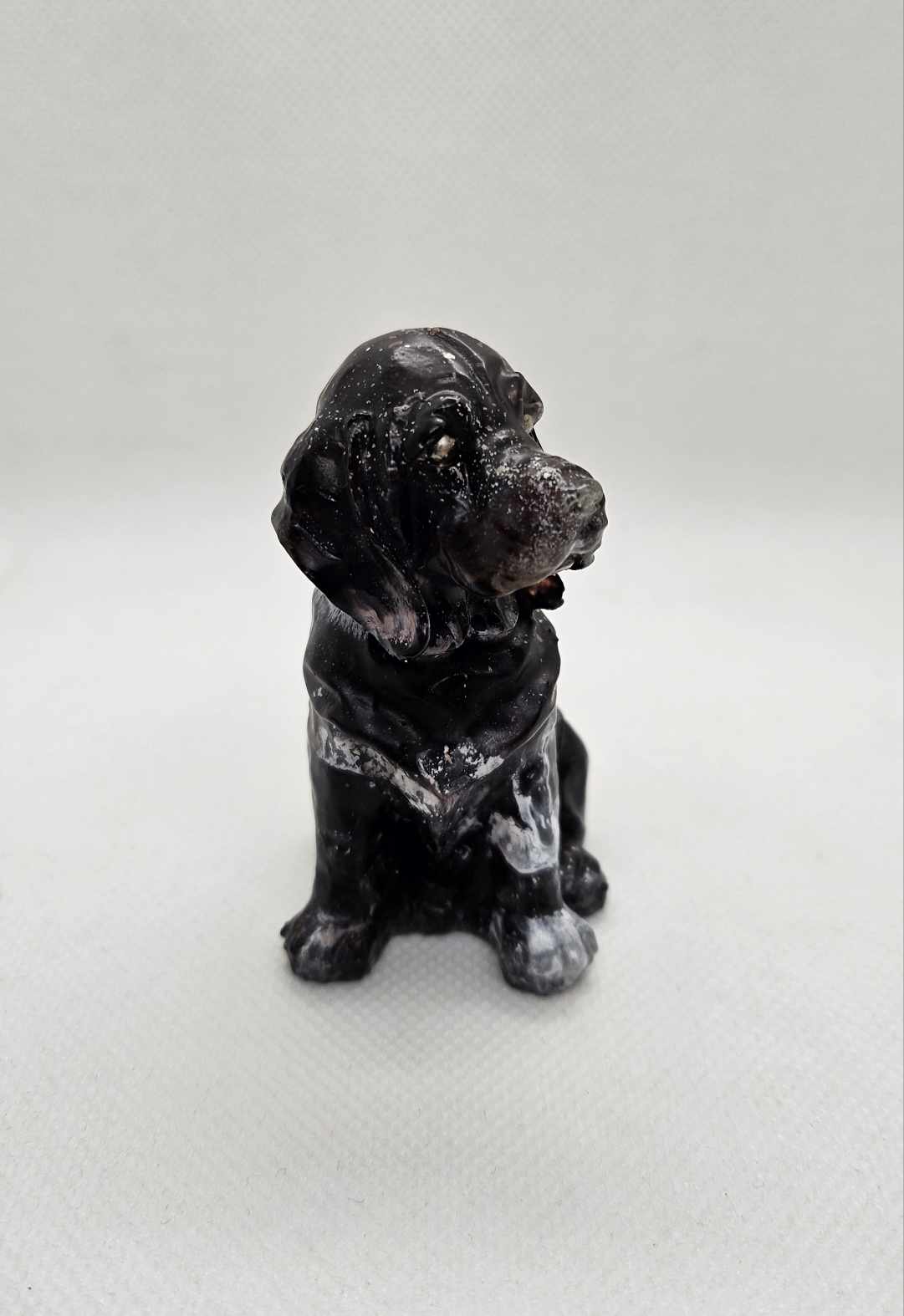 L’Esprit Labrador