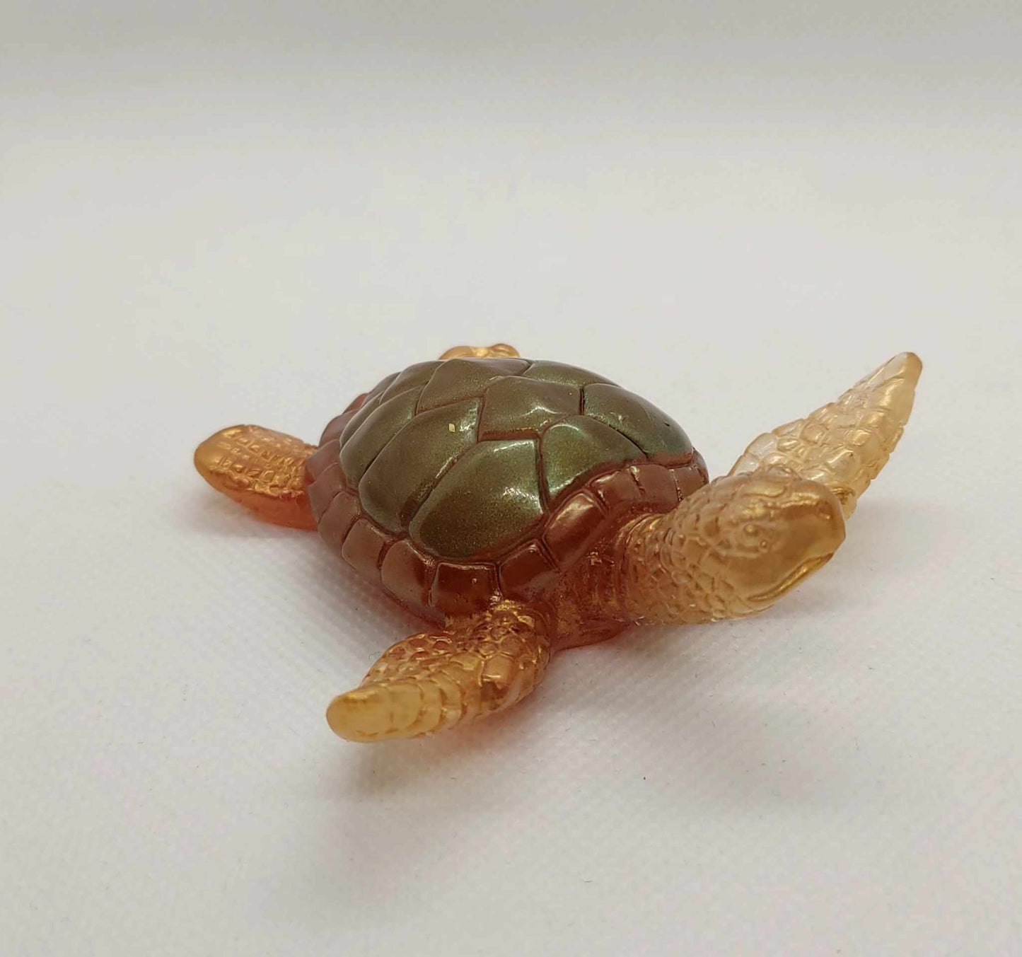 Tortue en Mouvement
