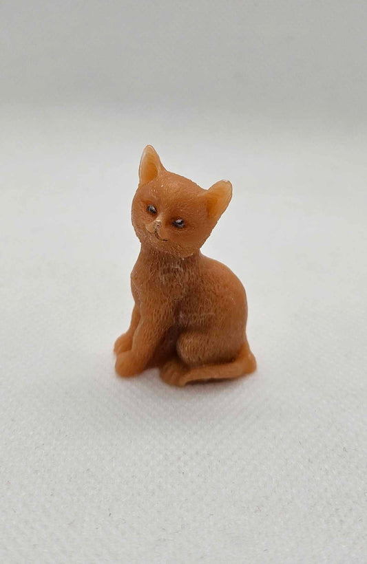 Petit Chat Rêveur