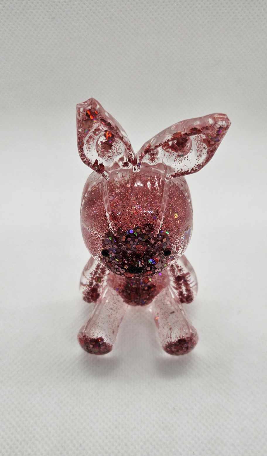 L'Instant Lapin