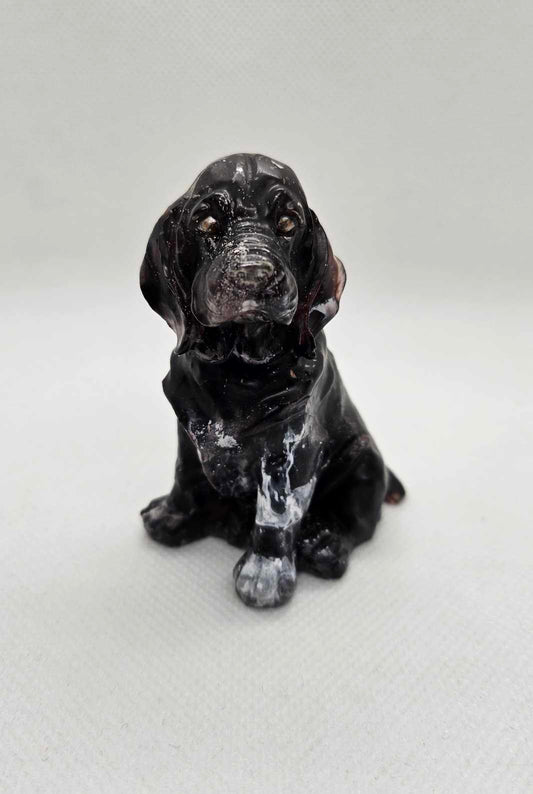 L’Esprit Labrador