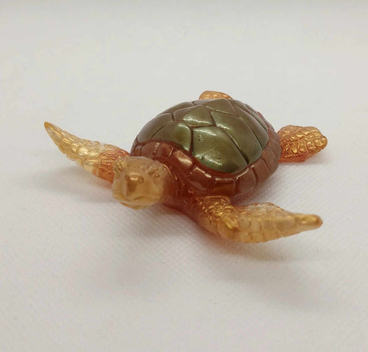 Tortue en Mouvement