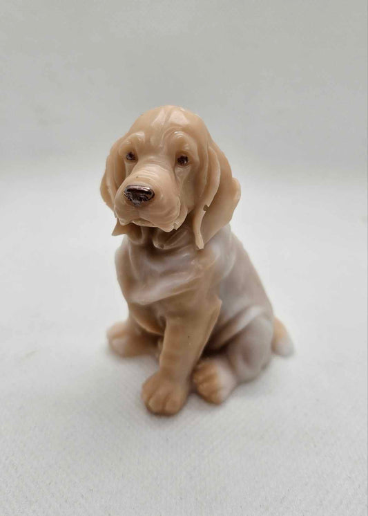 L'Esprit Labrador
