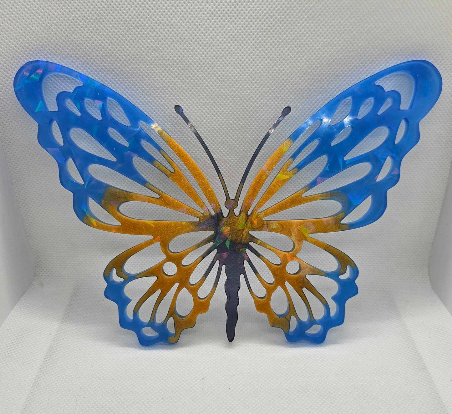 Papillon de Lumière