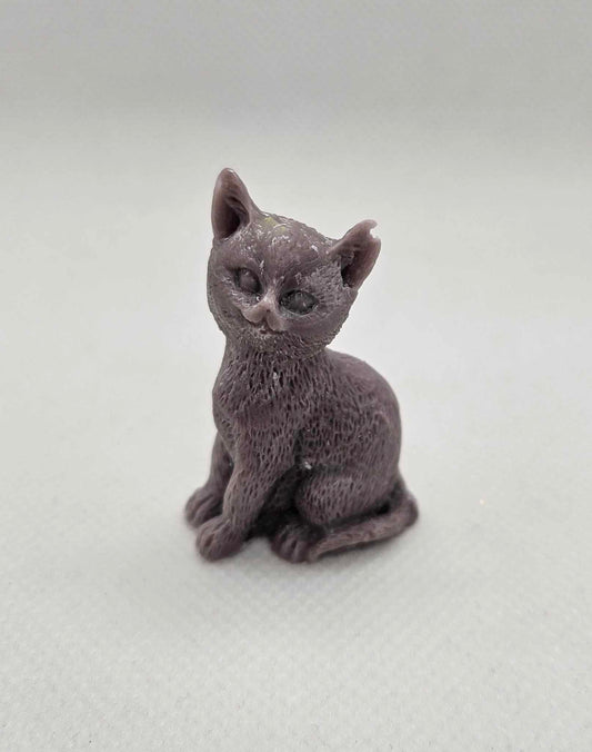 Petit Chat Rêveur