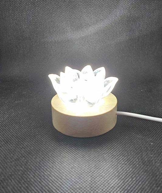 Fleur de Lumière – Élégance et Transparence