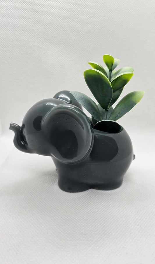 Pot Pachyderme