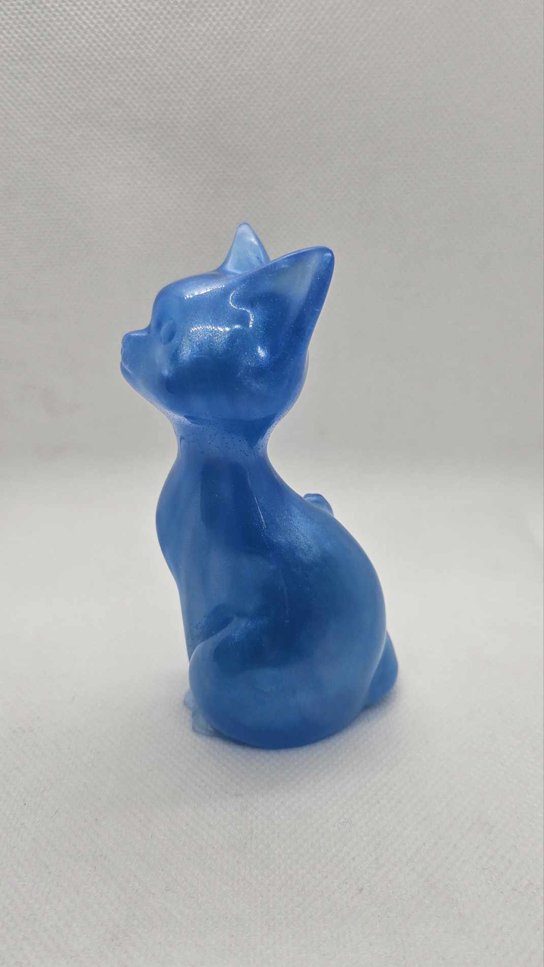 Chat’oyant