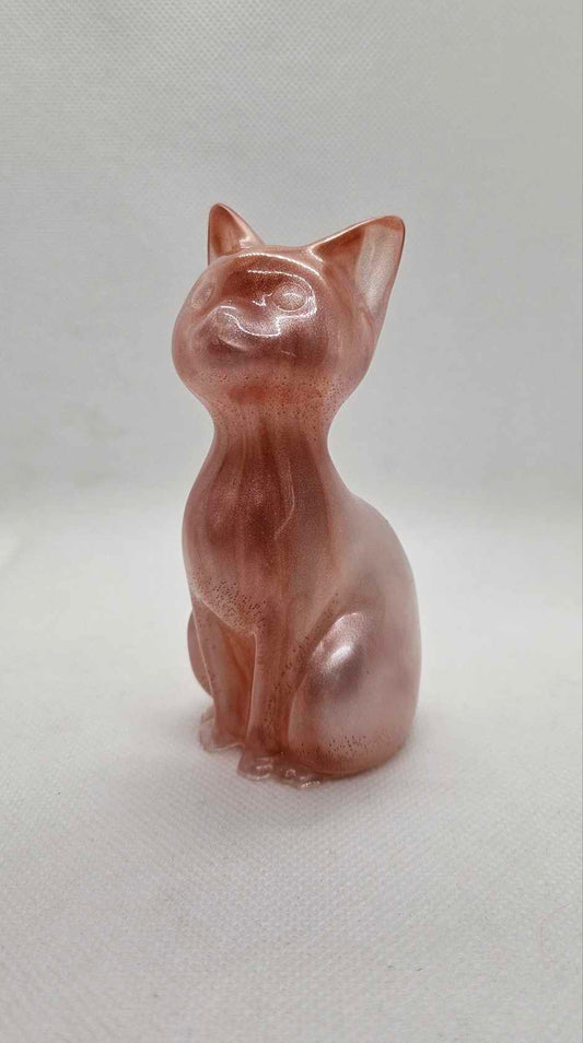 Chat’oyant