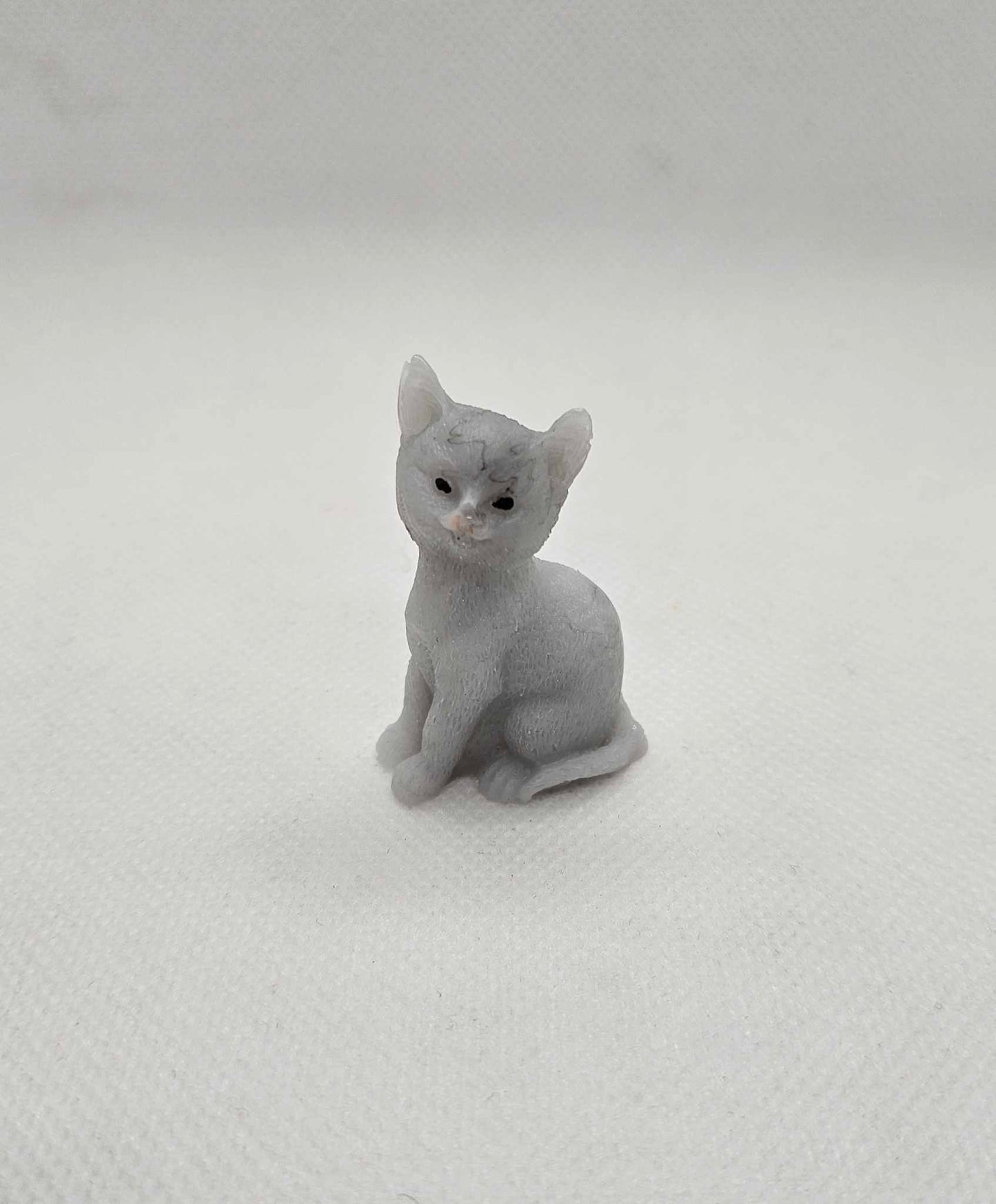 Petit Chat Rêveur