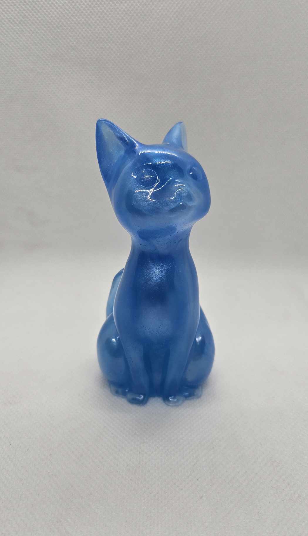 Chat’oyant