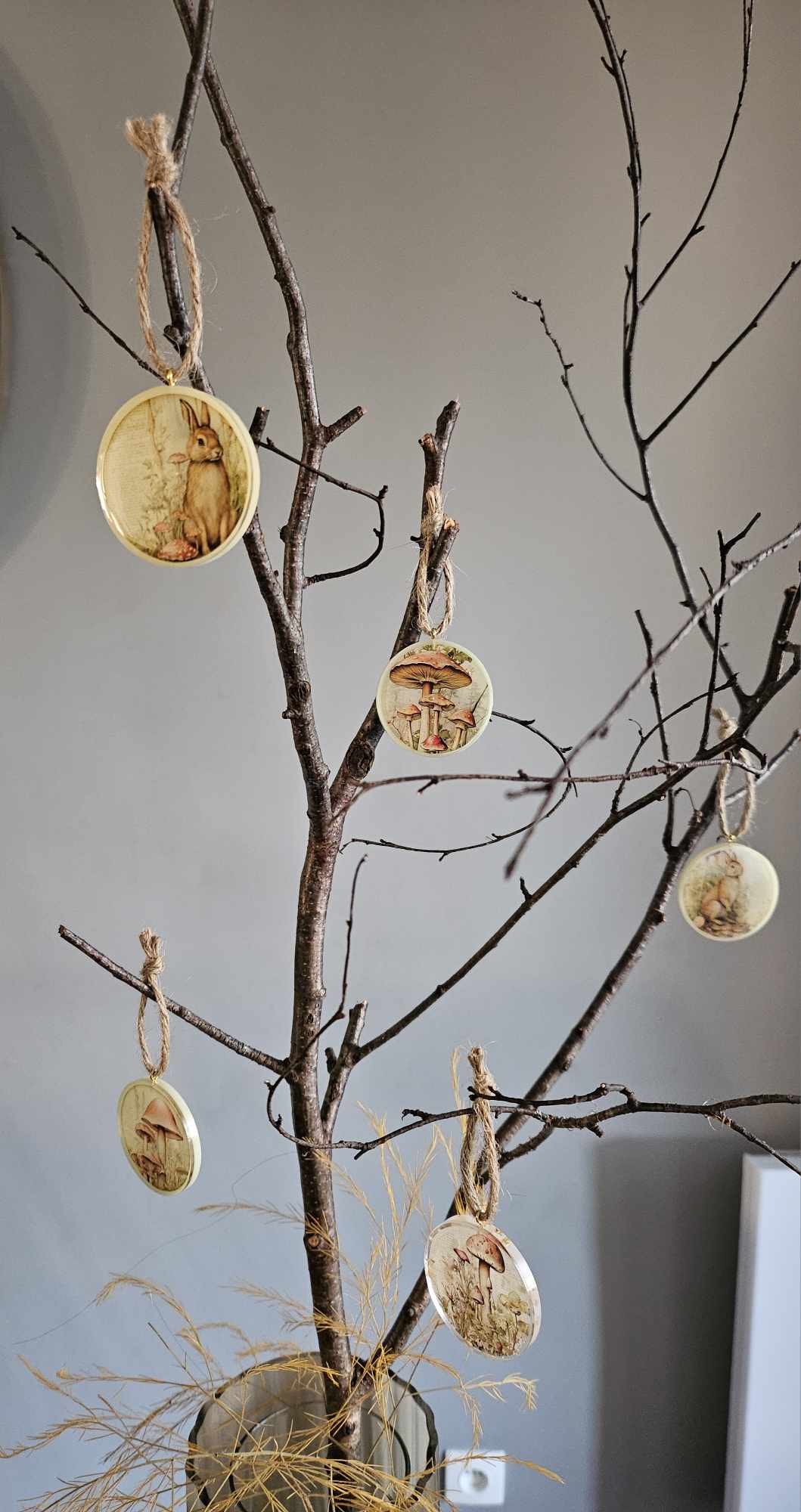 Cinq Cercles en Harmonie