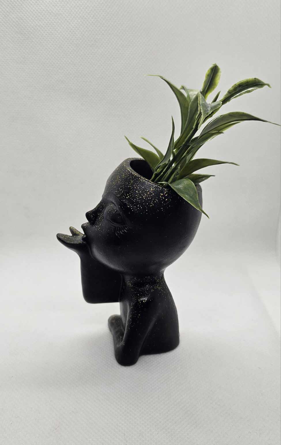 Bise Botanique